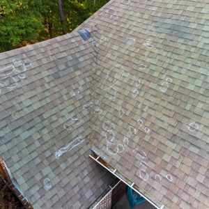 6 Signs You Need a Roof Inspection
